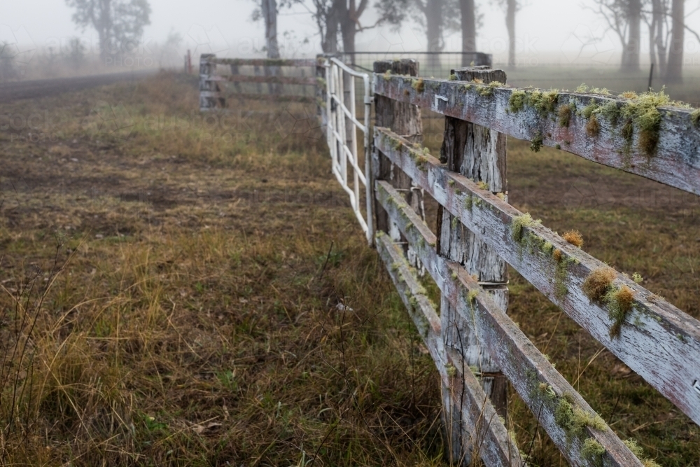 Lichen covered fence - Australian Stock Image