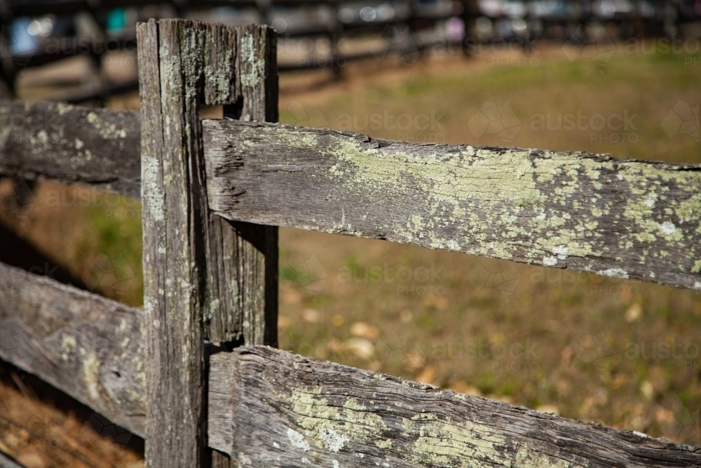Lichen covered post and rail fence in the sunlight on a historical farm - Australian Stock Image
