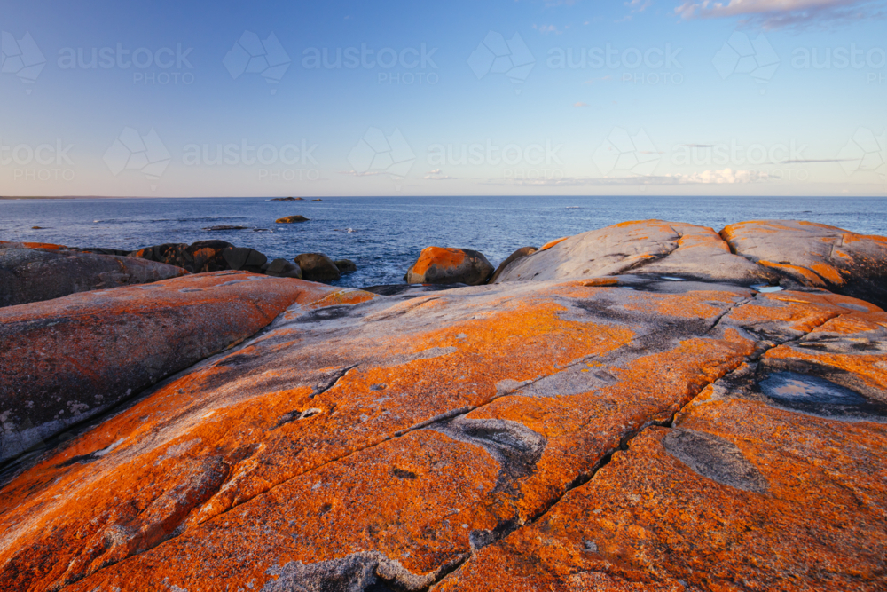 Lichen covered rock formations at the Gardens at sunset in the Bay of Fires near Binalong Bay - Australian Stock Image