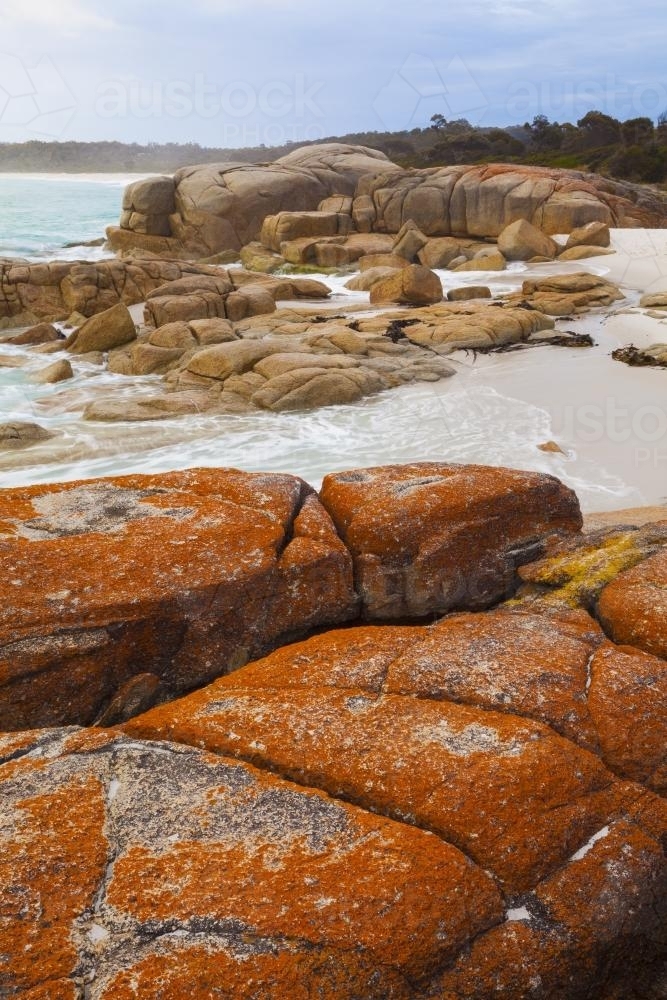 Lichen covered rocks at the water's edge - Australian Stock Image
