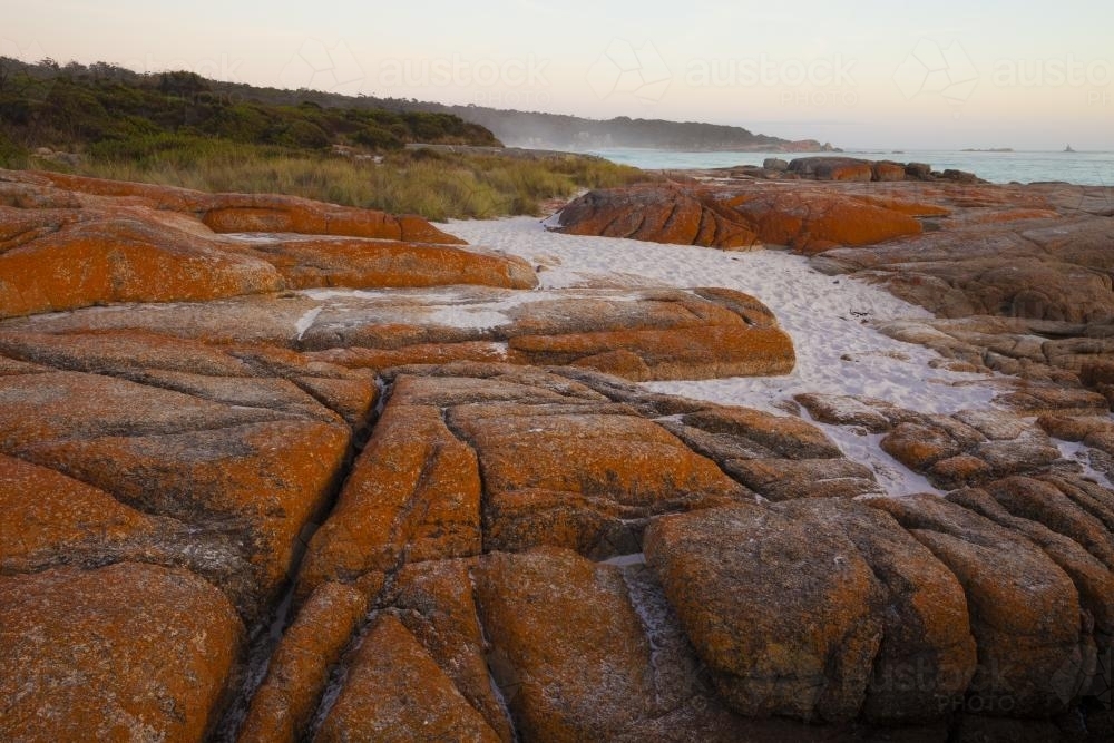Lichen covered rocks - Australian Stock Image