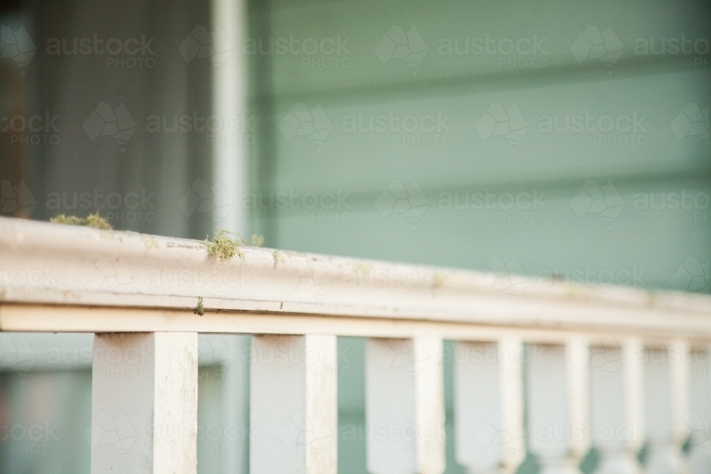 Lichen growing on white verandah railing - Australian Stock Image
