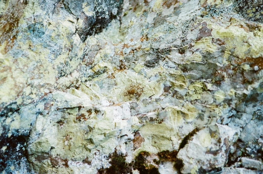 Lichen On Rock - Australian Stock Image