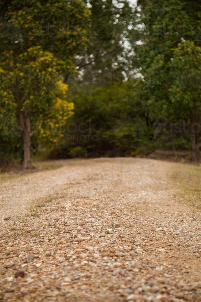 Light gravel driveway with green trees in the background - Australian Stock Image