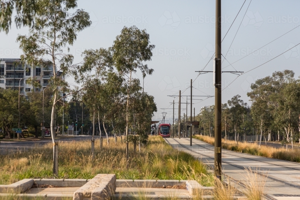 light rail track in Canberra - Australian Stock Image