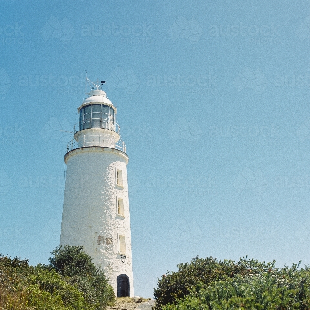 Lighthouse amongst the bushes - Australian Stock Image