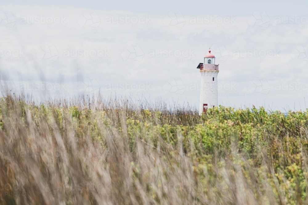 lighthouse sitting in the grassy scrub - Australian Stock Image