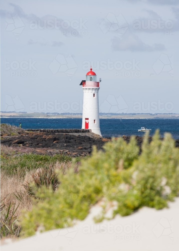 lighthouse with coastal vegetation on foreground - Australian Stock Image