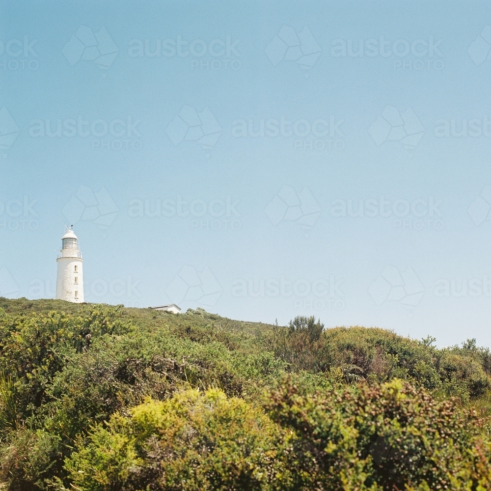 Lighthouse with green scrub and blue sky - Australian Stock Image