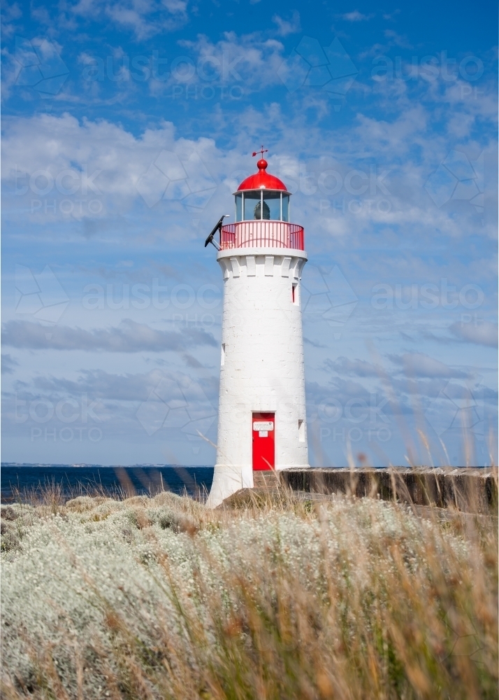 lighthouse with native grasses in the foreground - Australian Stock Image