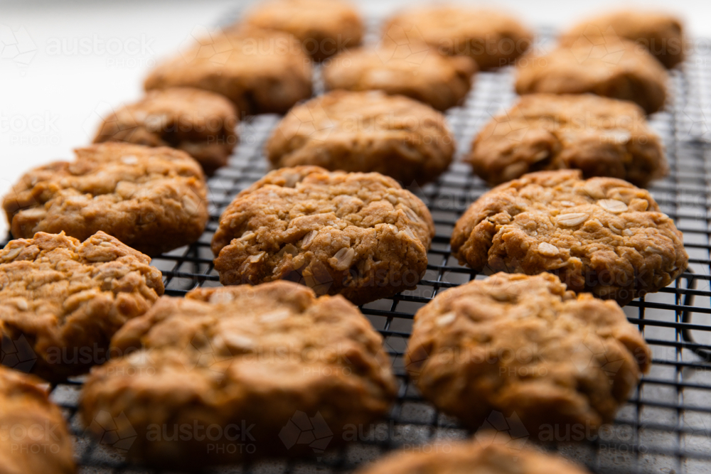 lines of ANZAC biscuits cooling down - Australian Stock Image