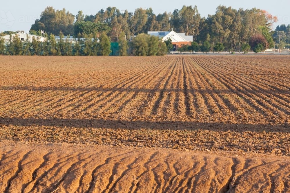 Lines of freshly ploughed soil in an empty paddock - Australian Stock Image