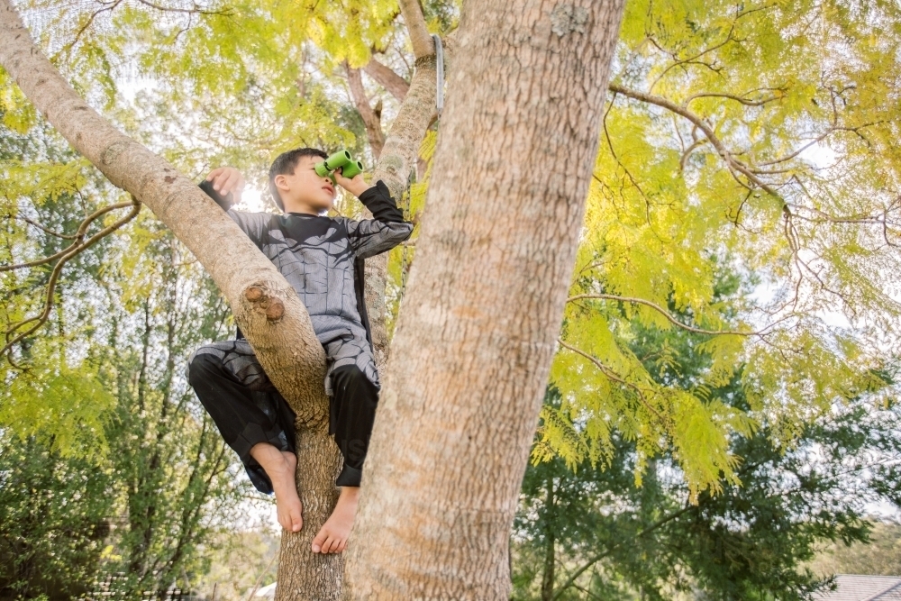 Little batman boy climbing a tree in the garden looking through a binocular - Australian Stock Image