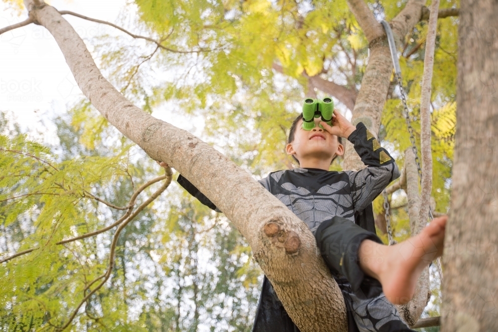Little batman boy climbing a tree in the garden looking through a binocular - Australian Stock Image