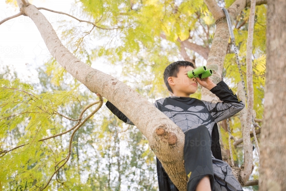 Little batman boy climbing a tree in the garden looking through a binocular - Australian Stock Image