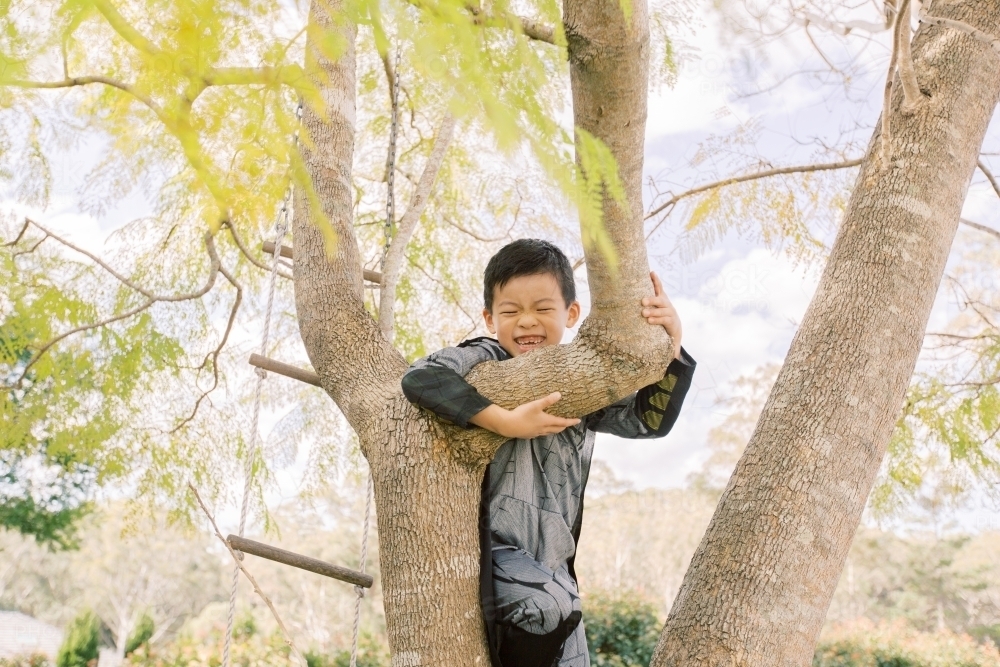 Little boy dressed as batman climbing a tree in the garden on a beautiful day - Australian Stock Image