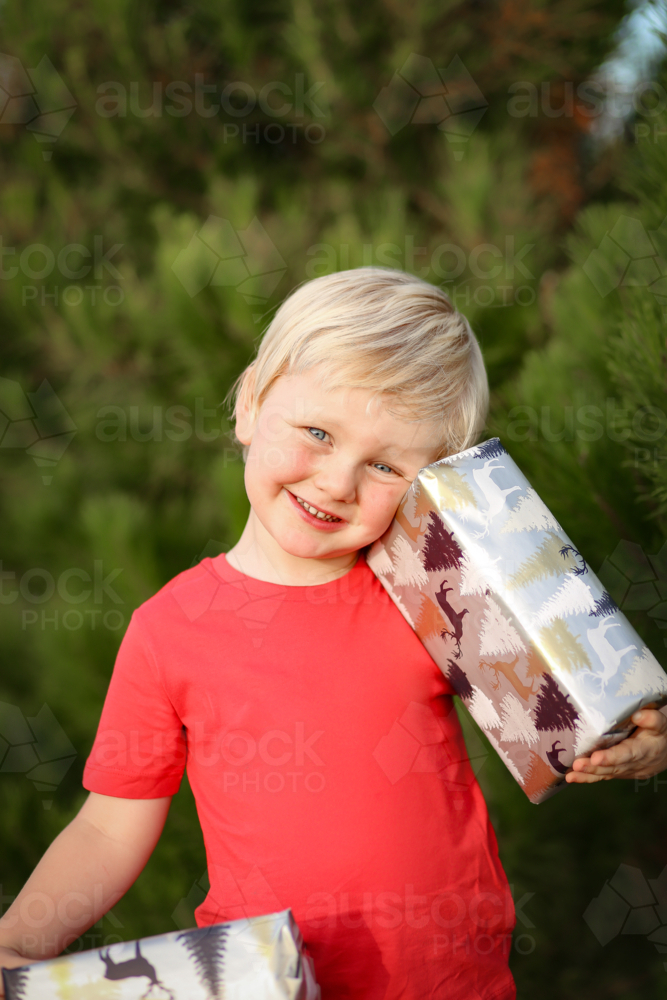Little boy holding wrapped presents on Christmas tree farm - Australian Stock Image
