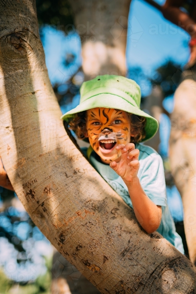 Little boy in a tree with face paint - Australian Stock Image