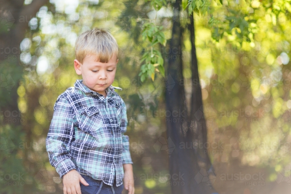 Little boy in checked shirt playing outdoors - Australian Stock Image