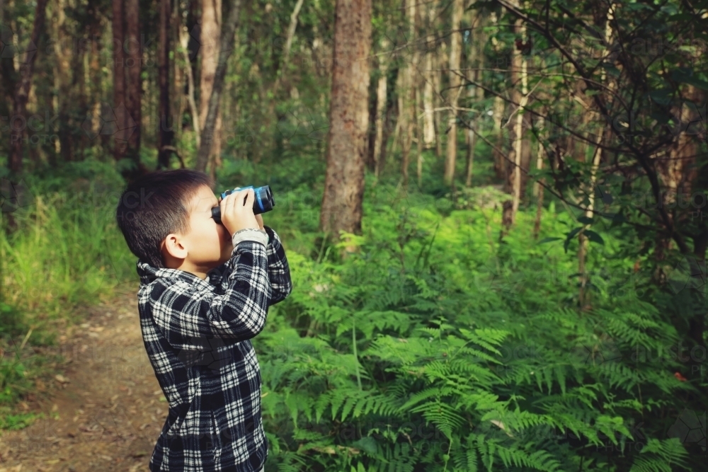Little boy using binoculars in the forest - Australian Stock Image