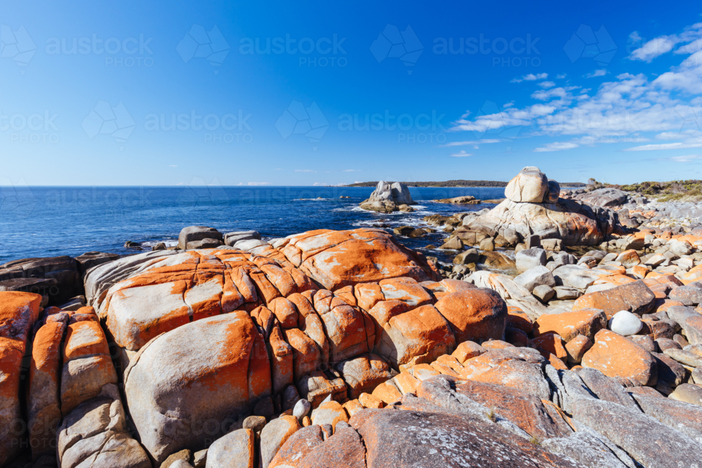 Little Elephant Bay on the Skeleton Bay Walk Humbug at Point Nature Recreation Area Bay of Fires - Australian Stock Image