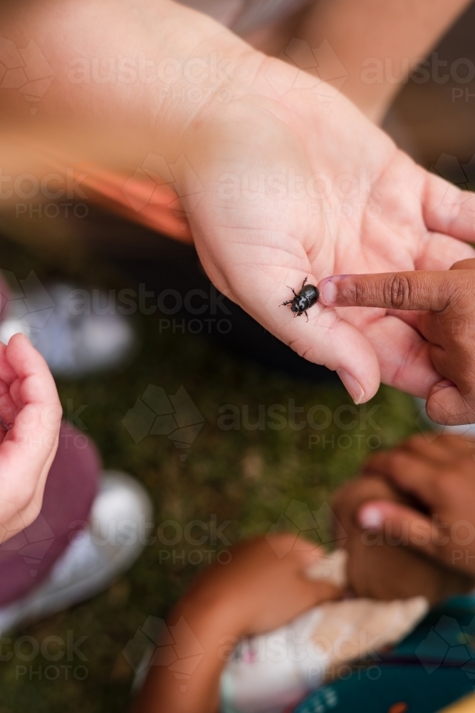 Little finger pointing at the bug on the palm of an adult’s hand - Australian Stock Image