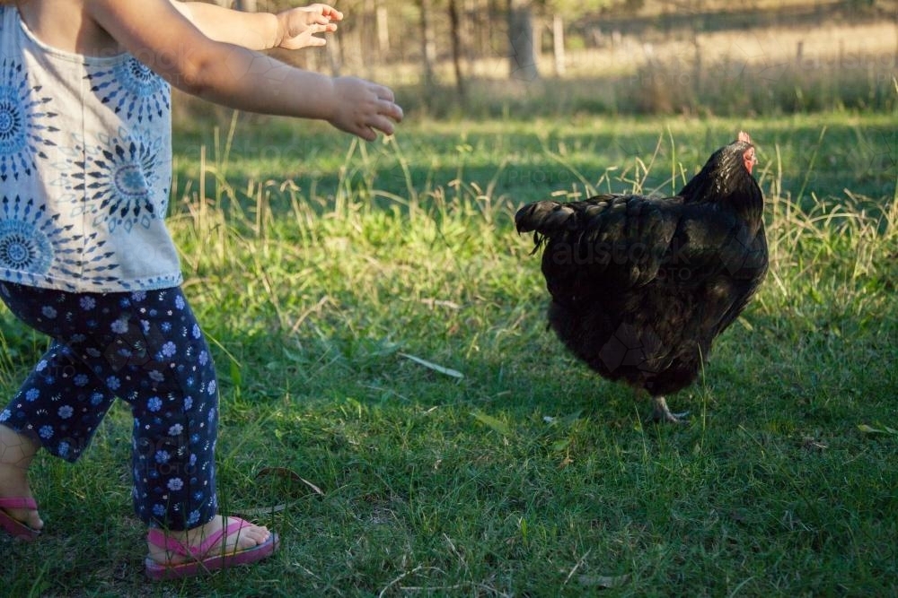 Little girl chasing a black chook - Australian Stock Image