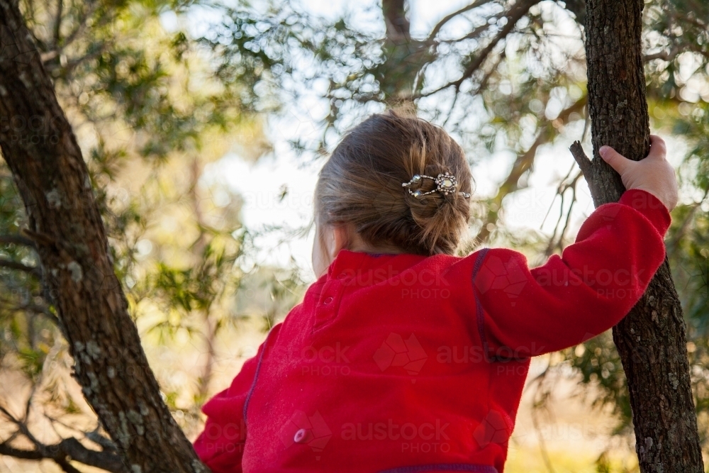 Little girl climbing a tree looking away - Australian Stock Image