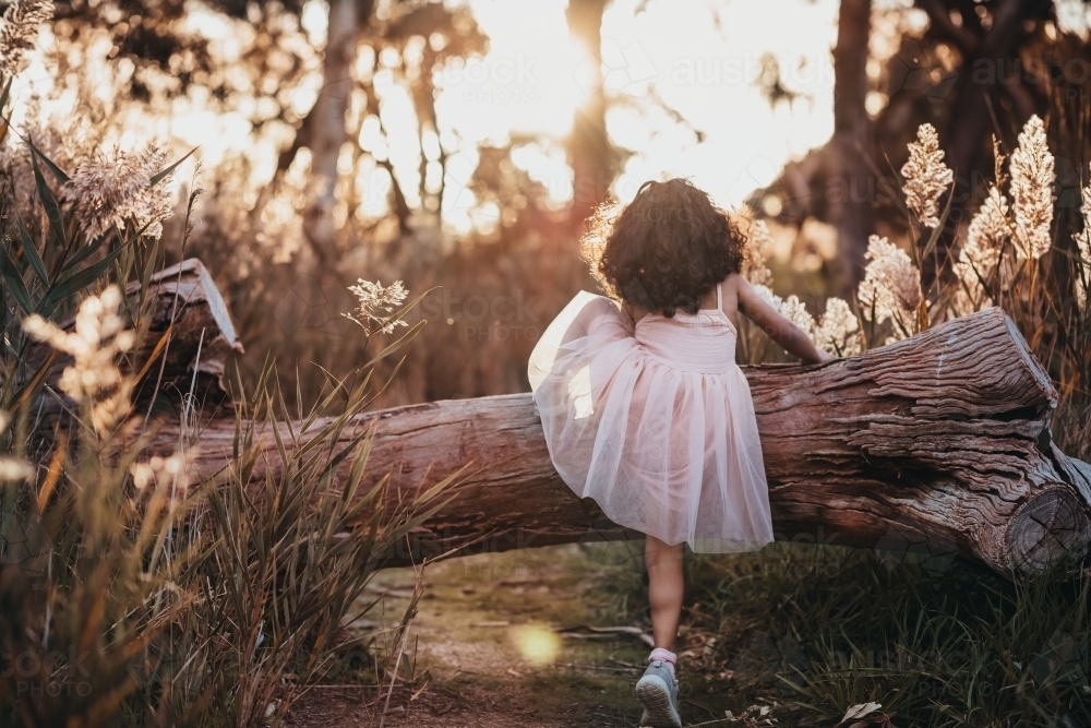 little girl climbing a tree trunk at park in golden hour - Australian Stock Image