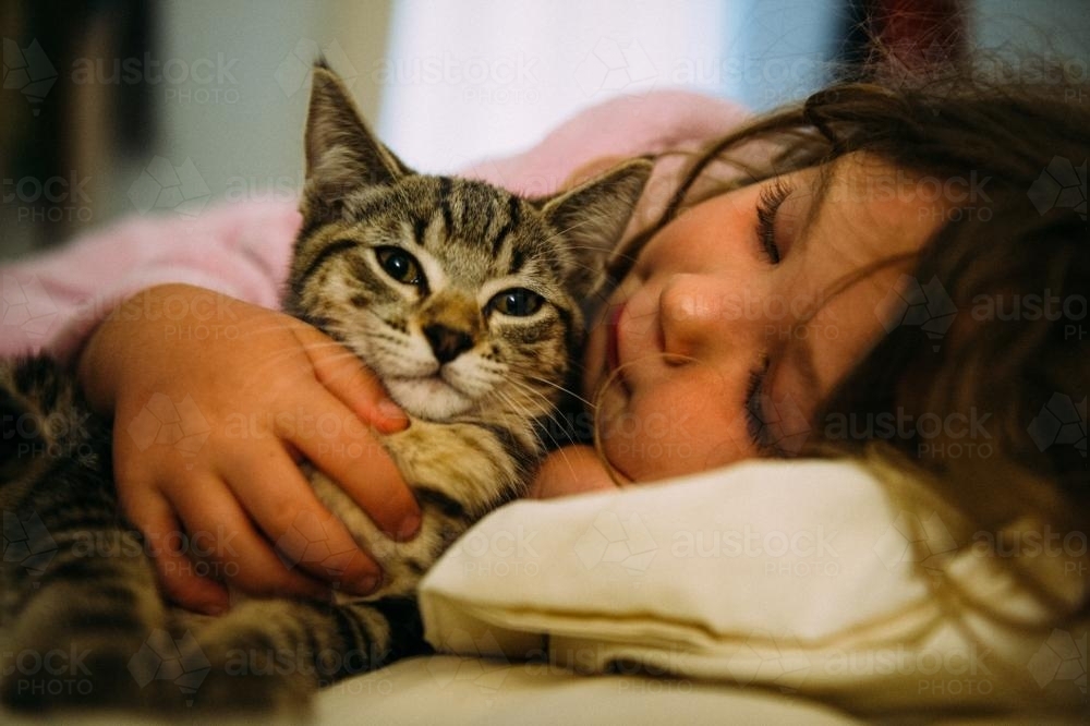 Little girl cuddling cat in bed - Australian Stock Image