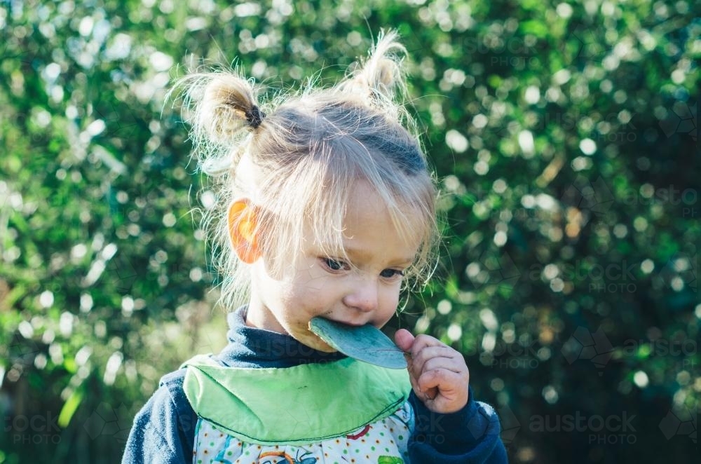 Little girl eating gumleaf - Australian Stock Image