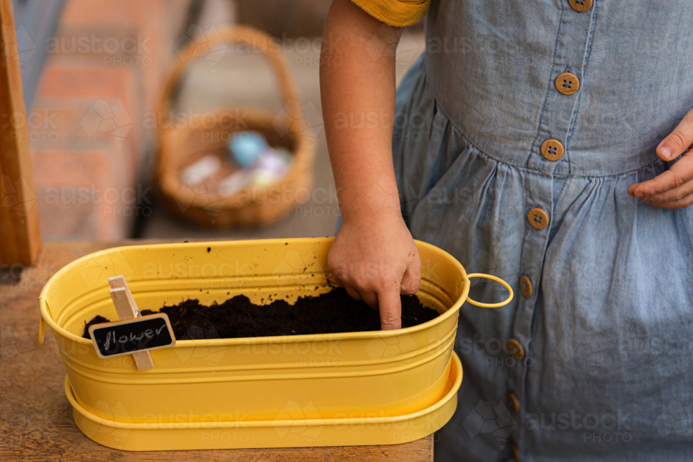 Little girl gardening outside planting sunflower seeds in soil - Australian Stock Image