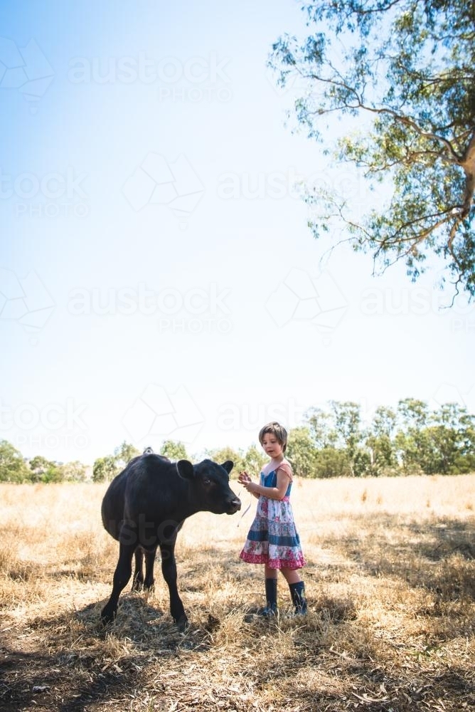 Little girl & her pet calf - Australian Stock Image