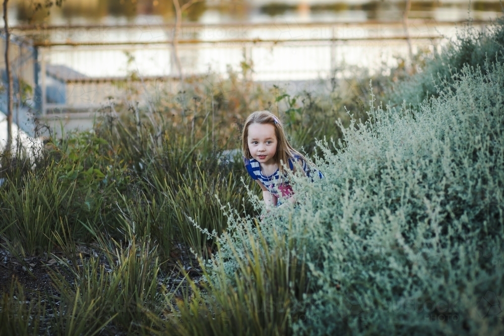 Little girl hiding in bushes at park playing hide and seek - Australian Stock Image