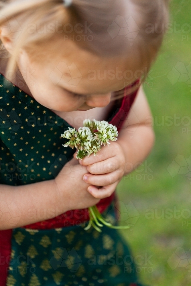 Little girl holding bunch of clover flowers picked from lawn - Australian Stock Image