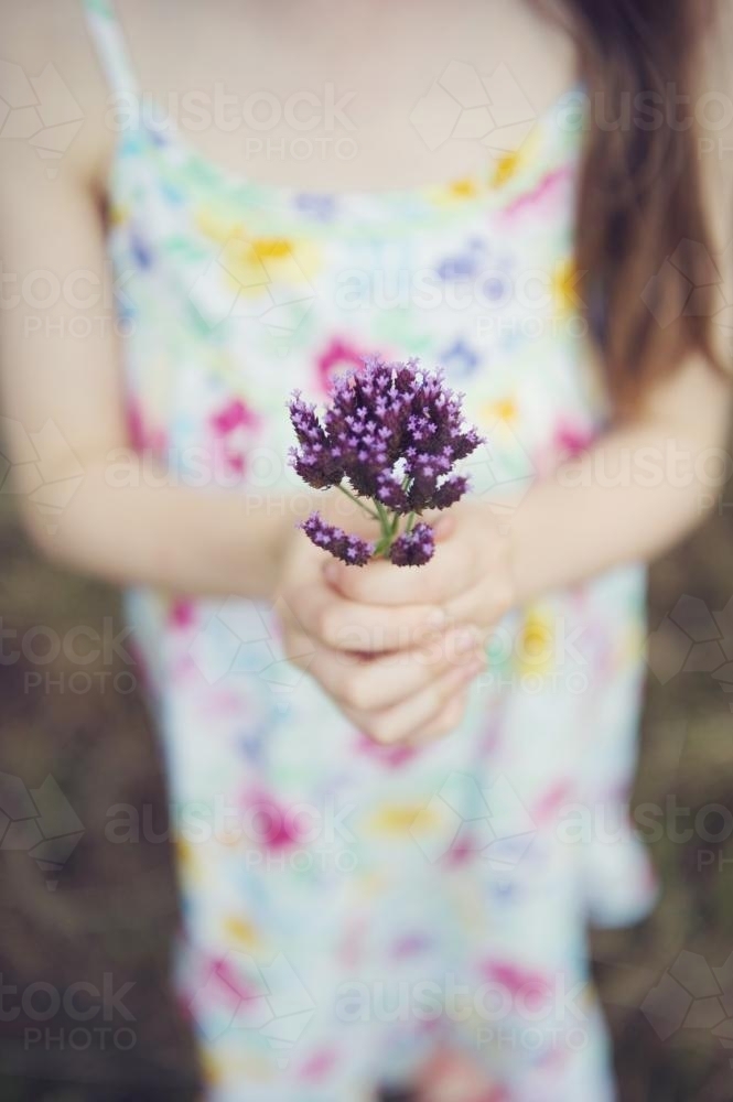 Little Girl in floral dress holding flowers - Australian Stock Image