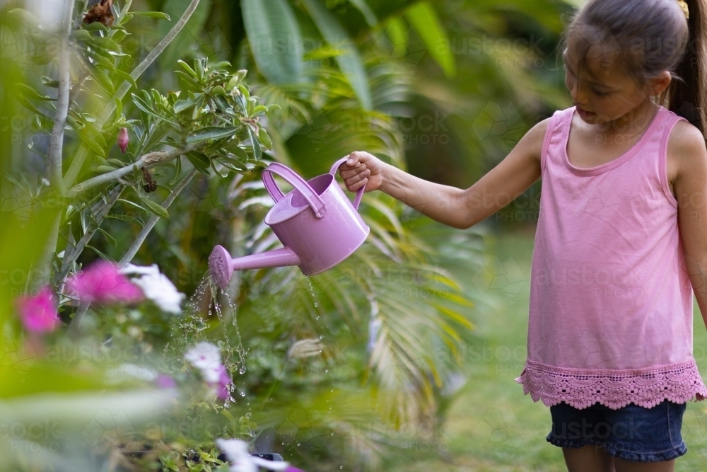little girl in pink water flowers with pink watering can - Australian Stock Image