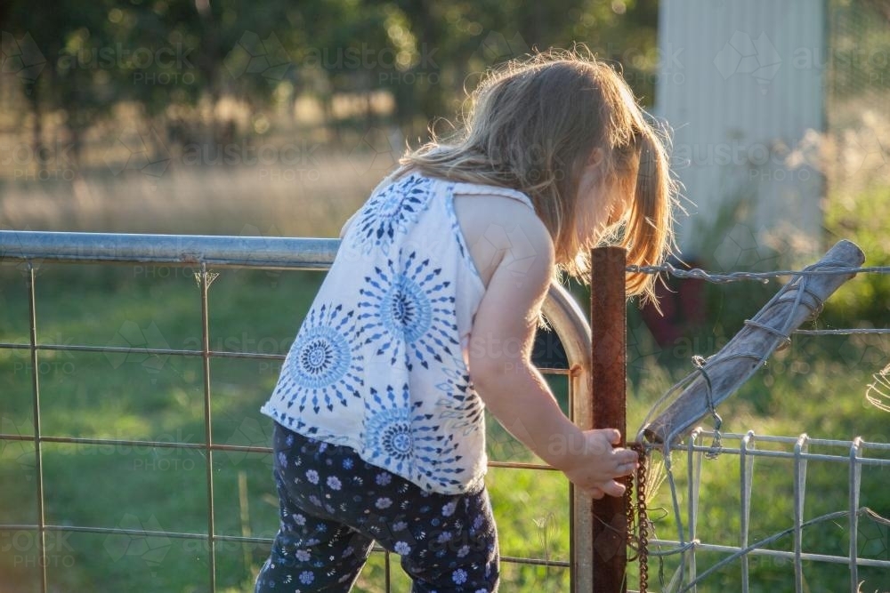 Little girl latching the chook yard gate closed - Australian Stock Image
