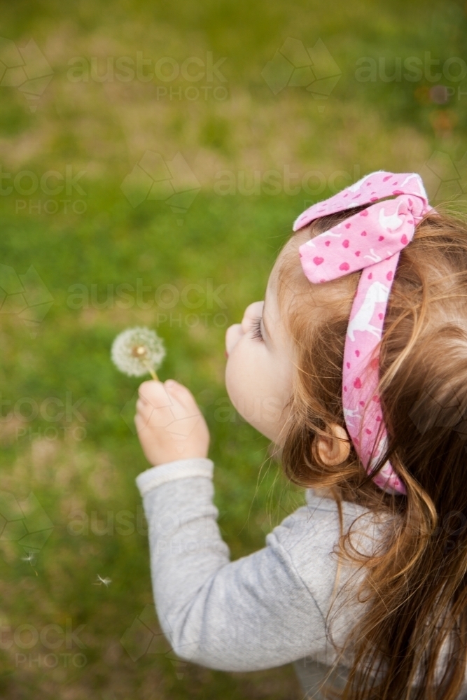 Little girl outside blowing a dandelion seed head - Australian Stock Image