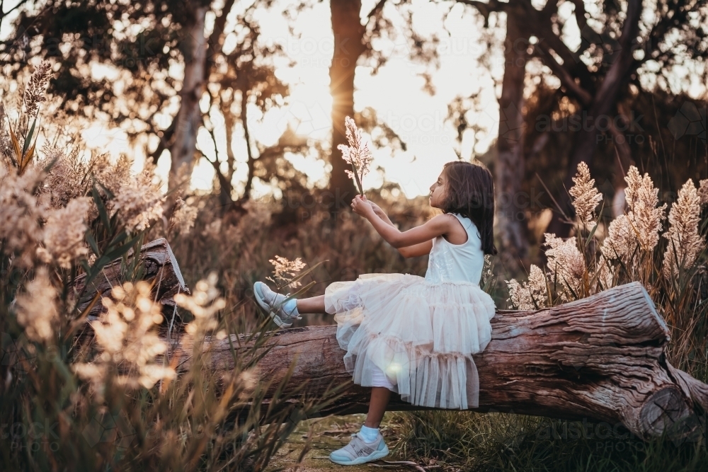 Little girl sitting on a tree trunk in golden hour - Australian Stock Image