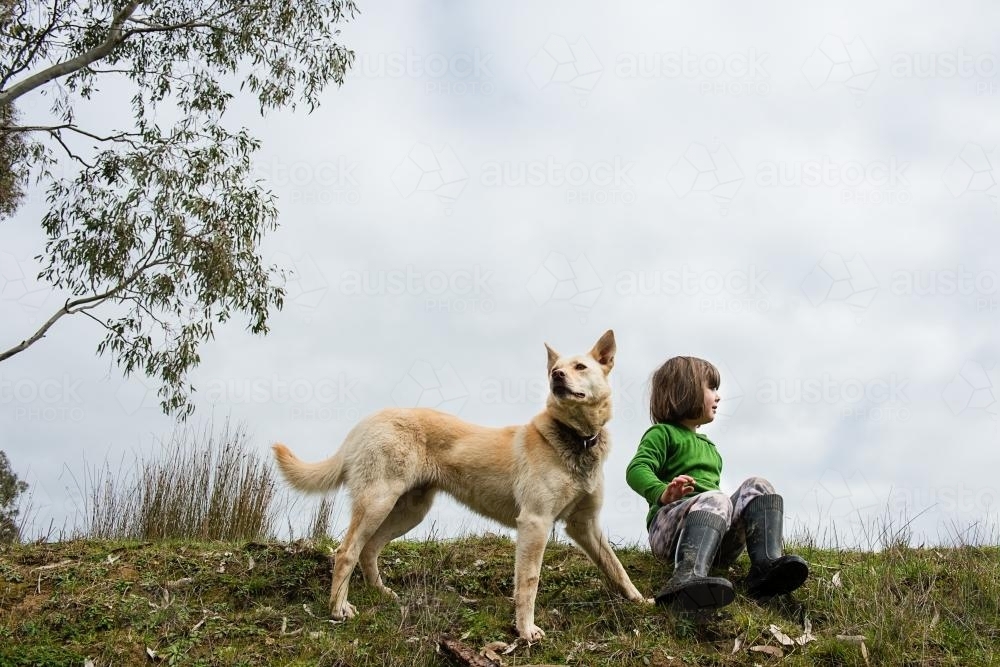 Little girl sitting on grass with her dog - Australian Stock Image