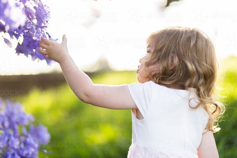 Image of little girl touching flowers on jacaranda tree in garden
