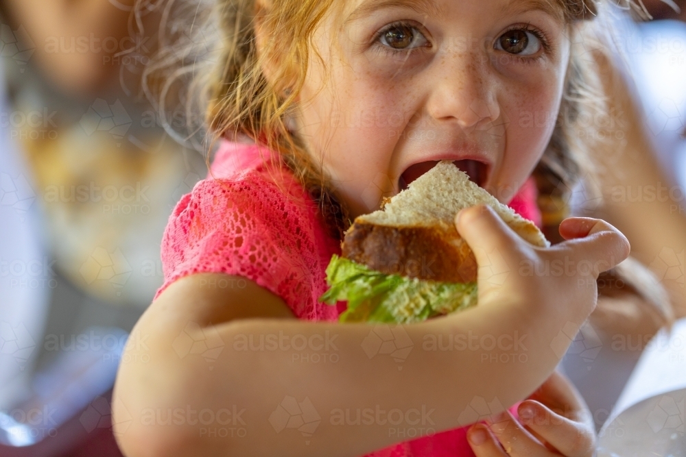 Little girl trying to take a bit of a big sandwich - Australian Stock Image