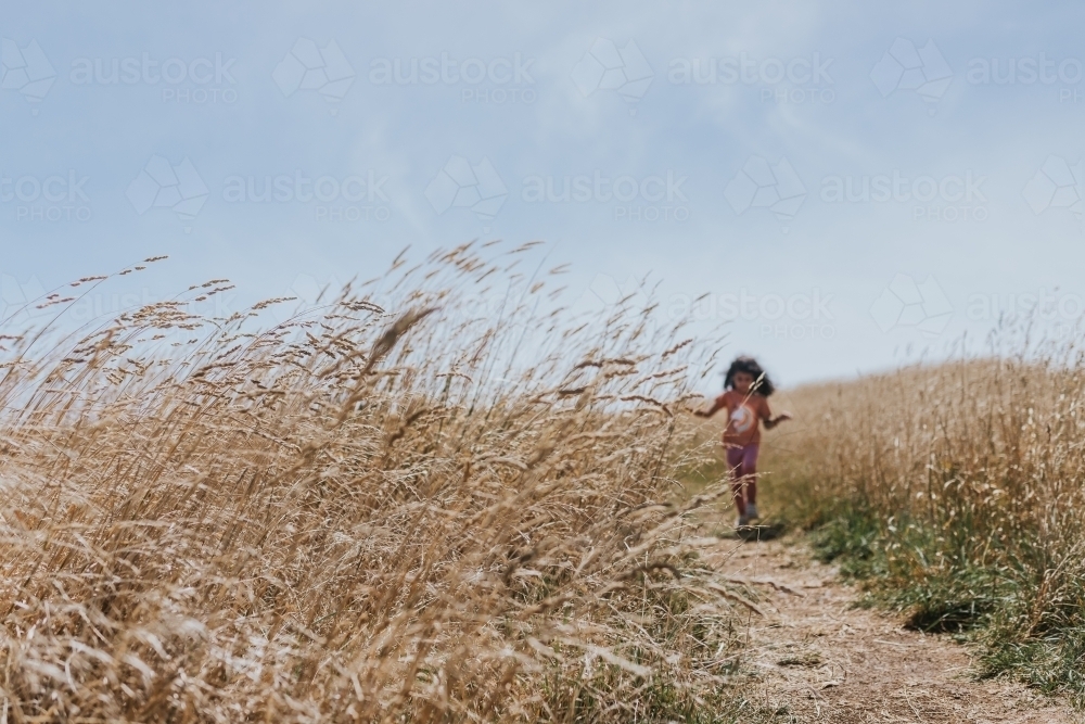 Little girl walking in a field with tall grass - Australian Stock Image