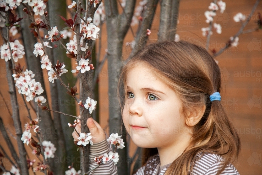 Little girl with beautiful eyes beside spring blossom tree - Australian Stock Image