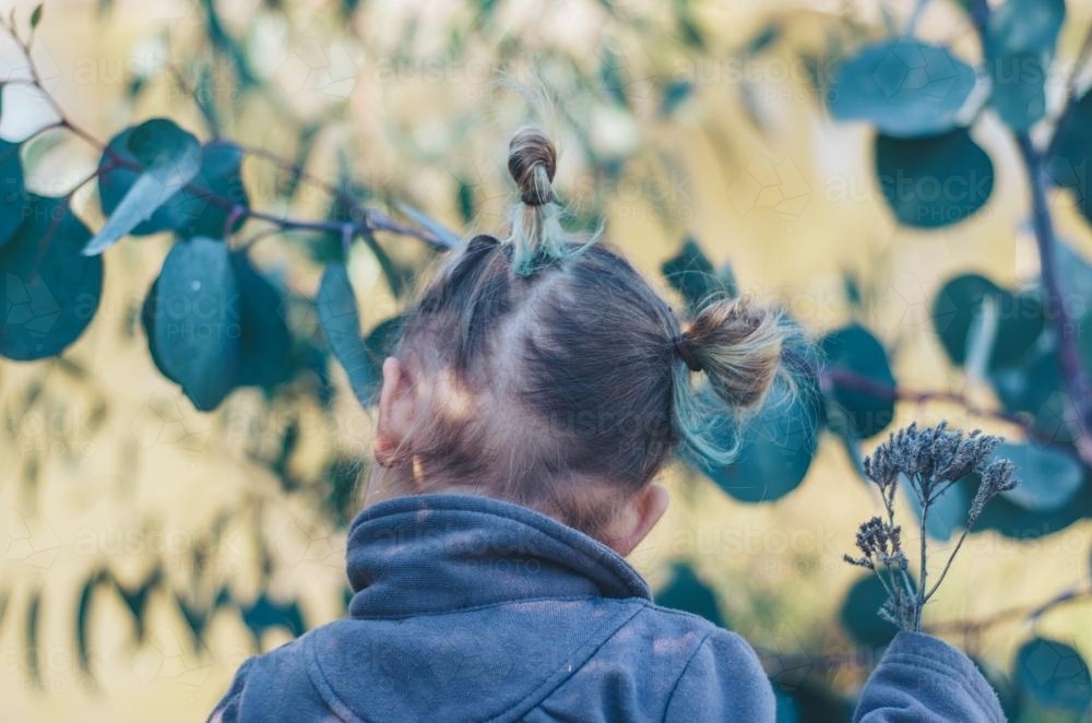 Little girl with blue hair by gumtree - Australian Stock Image