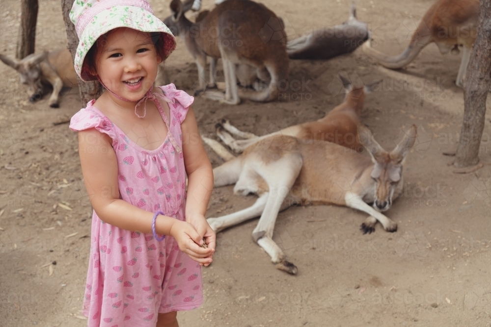 Little girl with kangaroos - Australian Stock Image