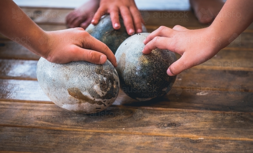 Little hands touching giant emu eggs in wonder - Australian Stock Image