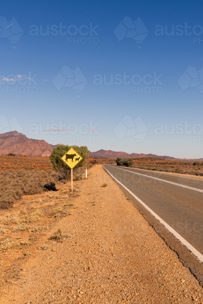 Livestock warning road sign on side of road, Flinders Ranges, South Australia - Australian Stock Image