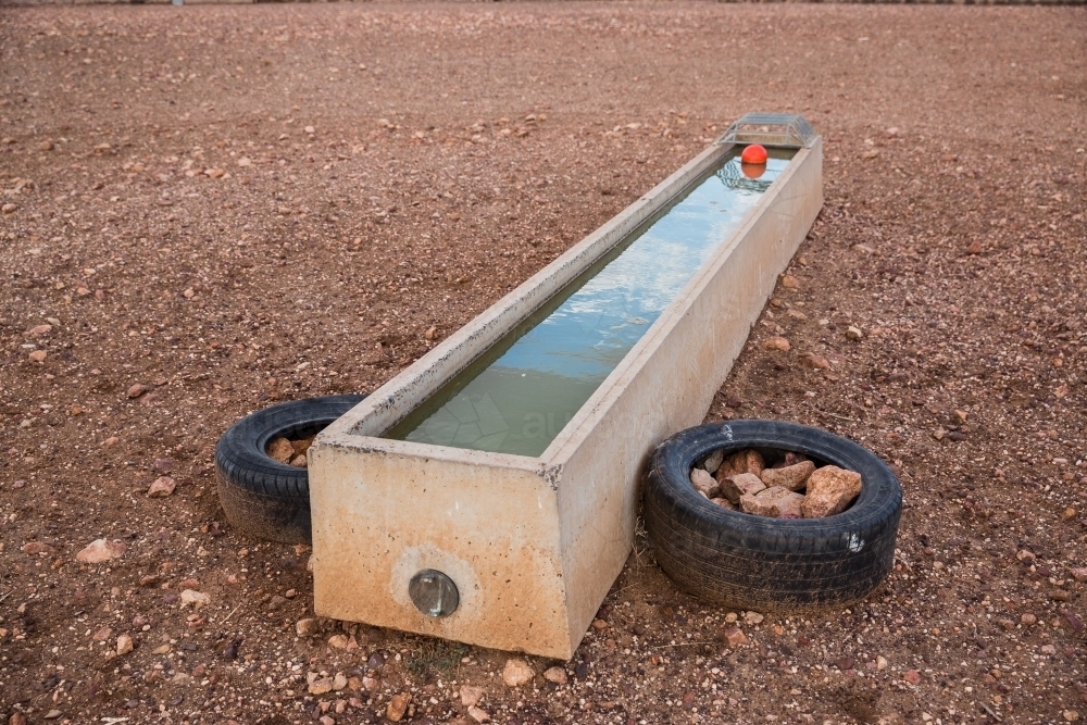 Livestock water trough - Australian Stock Image